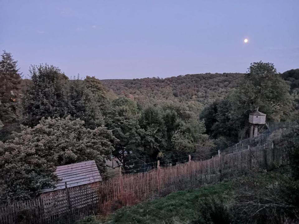 La Maison Du Sabotier Custinne Buitenkant foto